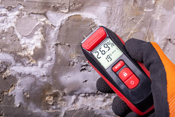 Best Commercial Mold Remediation in Fairbury, NE