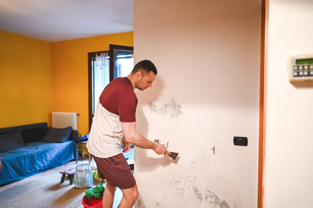 Best Preventive Mold Services in Fairbury, NE